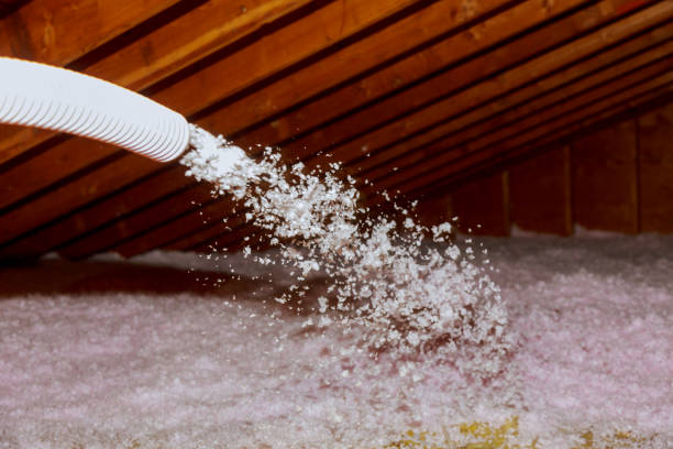 Best Cellulose Insulation  in Lemont, PA