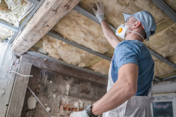 Best Professional Insulation Contractor  in Lemont, PA
