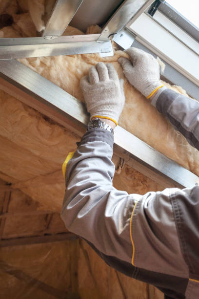 Best Insulation Replacement Services  in Lemont, PA