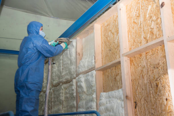 Best Insulation Removal  in Lemont, PA